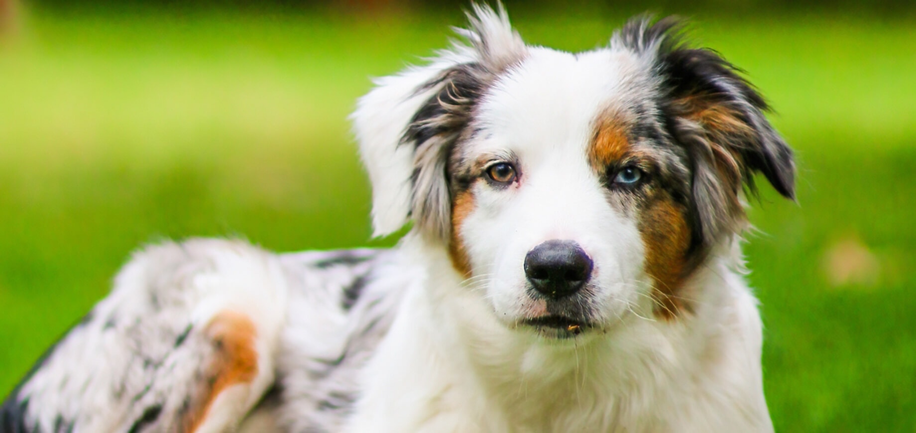 Assurer une bonne digestion