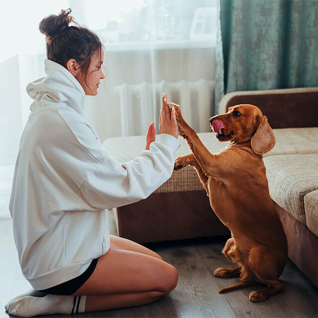 femme jouant avec un chien