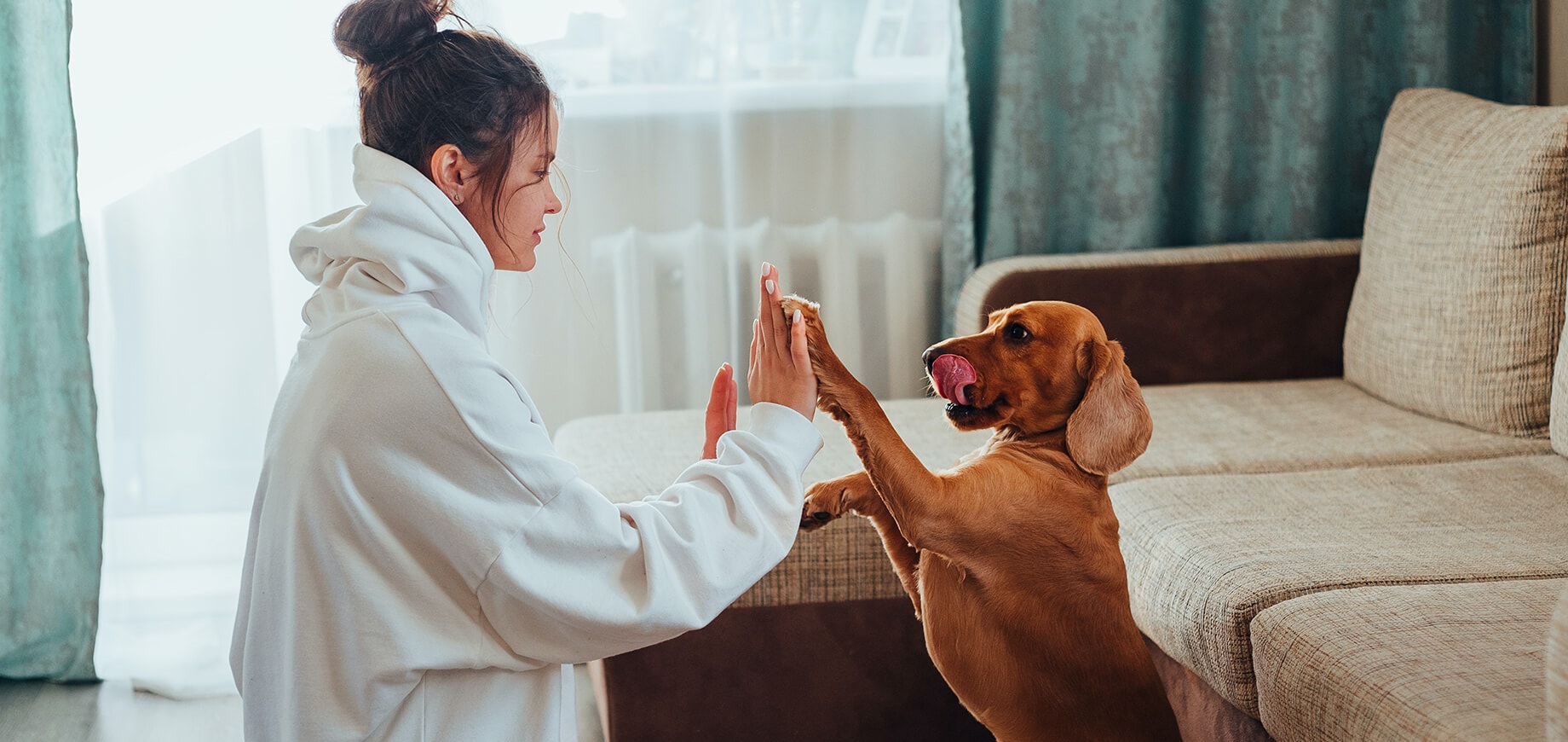 femme jouant avec un chien