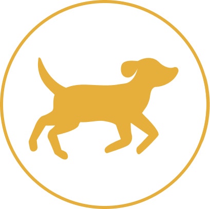 Pedigree Chien moyen