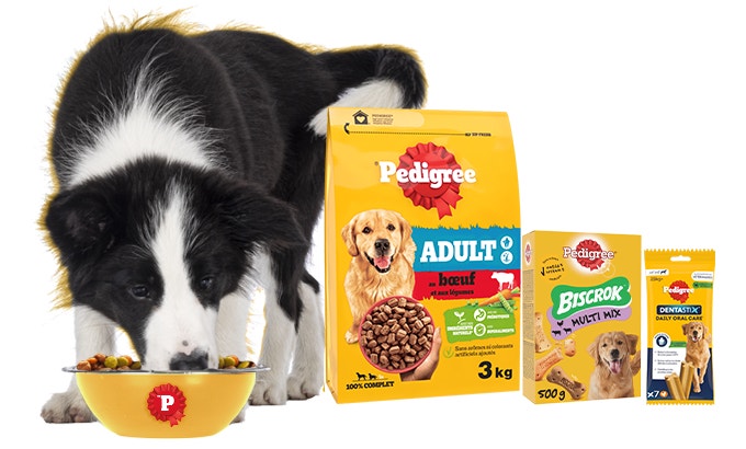 Pedigree All Products
