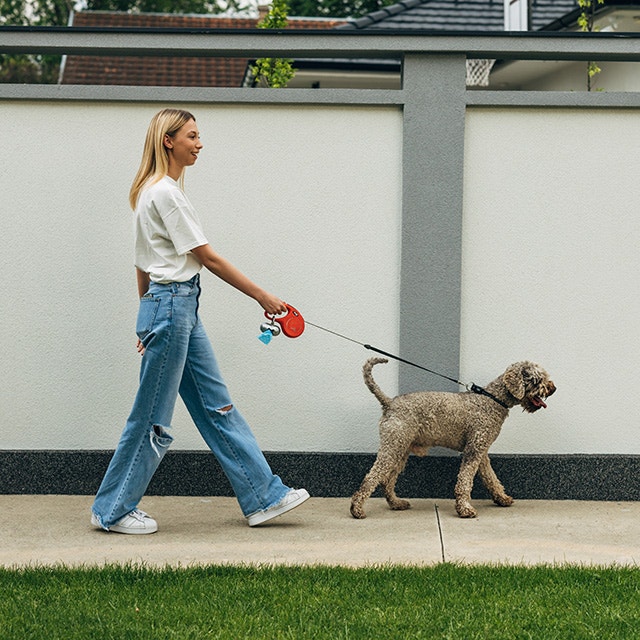 une femme promenant son chien sur un chemin