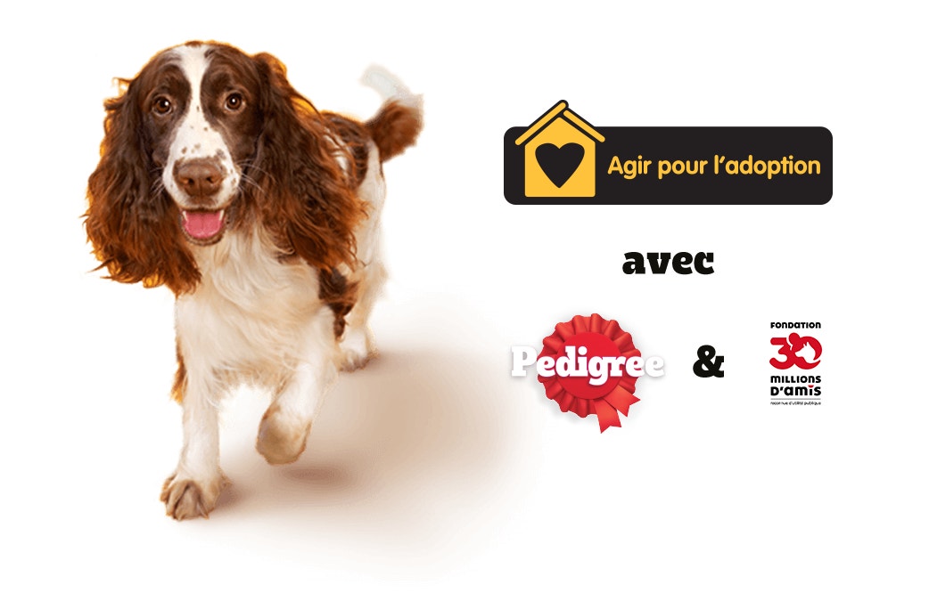 agir pour ladoption hero