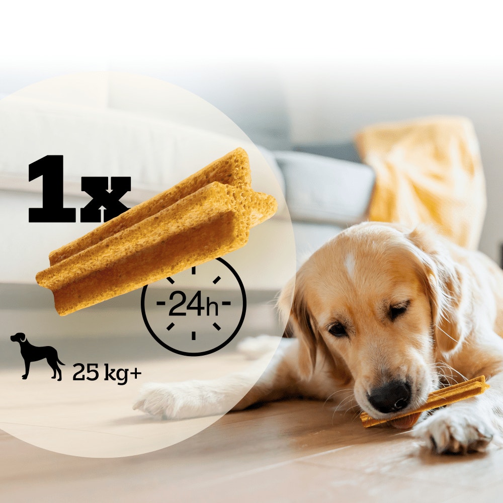 Pedigree® DENTASTIX™ Light Saveur Dinde Pour Chiens De plus de 25kg, 152g
