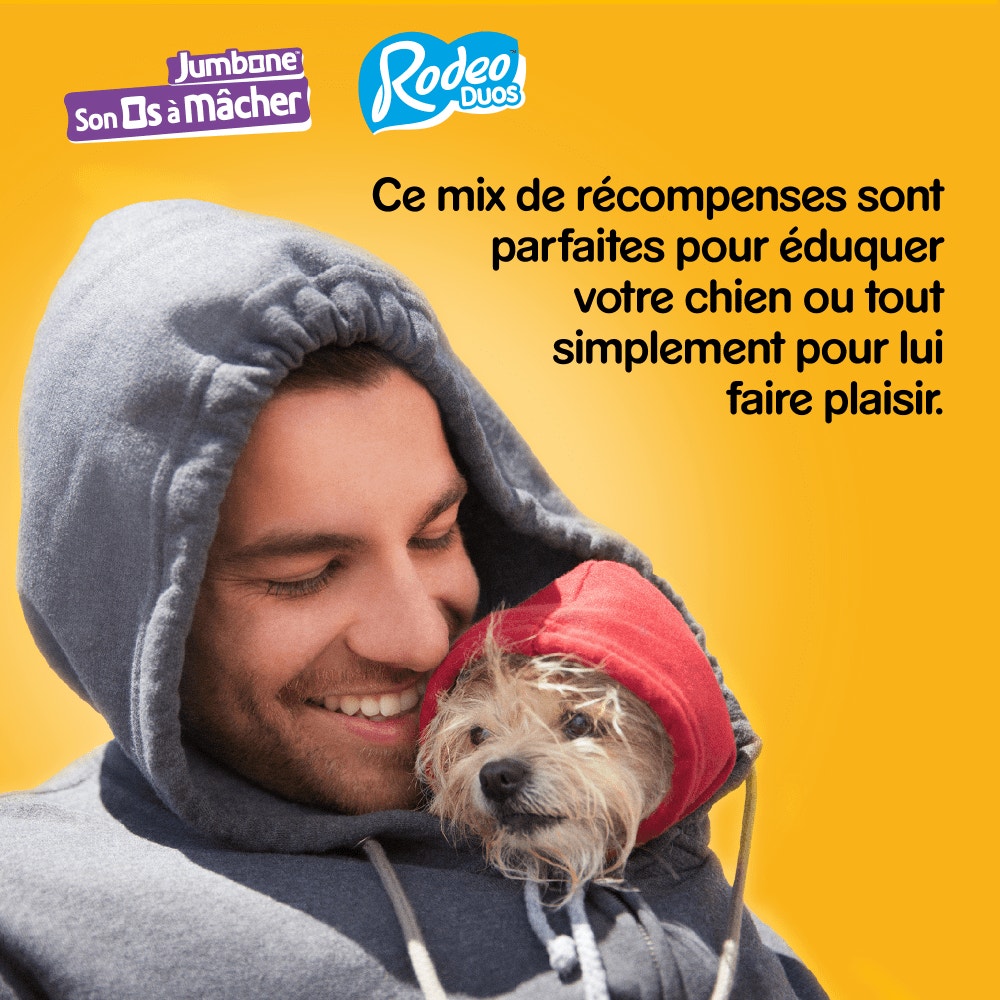 Pedigree® Mega Box Mix Récompenses RODEO™ DUO Et JUMBONE™ Pour Chien 780g