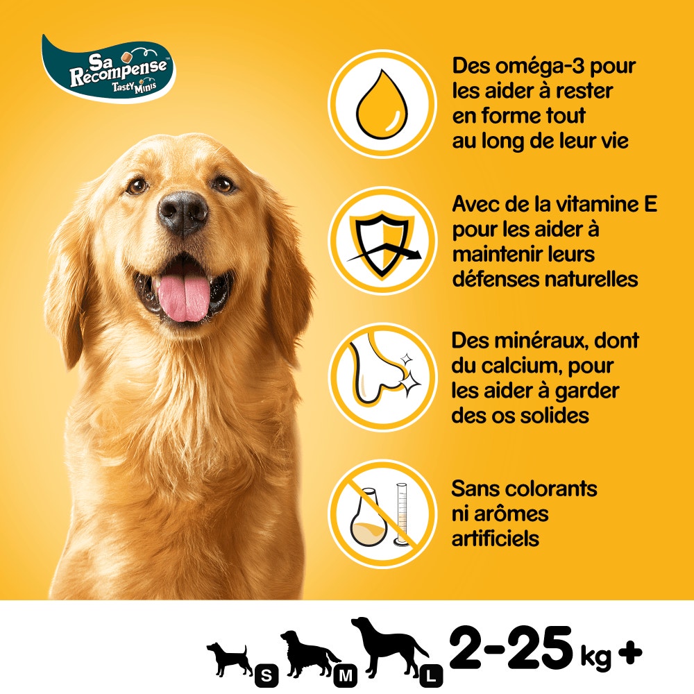 Pedigree® SA RÉCOMPENSE™ Mini Bouchées Au Bœuf Et Fromage Pour Chien 140g