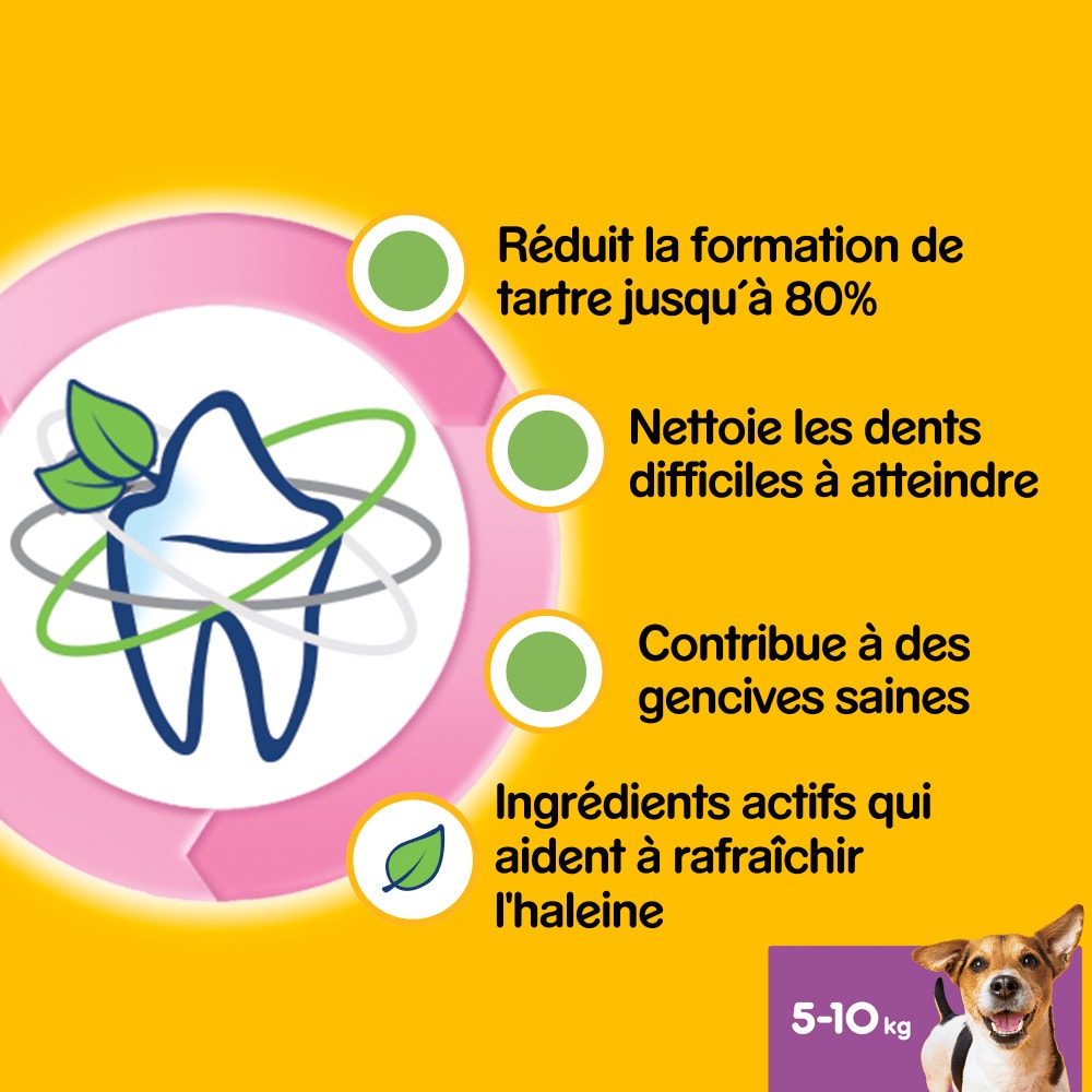 Pedigree® DENTASTIX™ Fresh Bâtonnets Hygiène Bucco-Dentaire Pour Petit Chien 7 x 15,7g