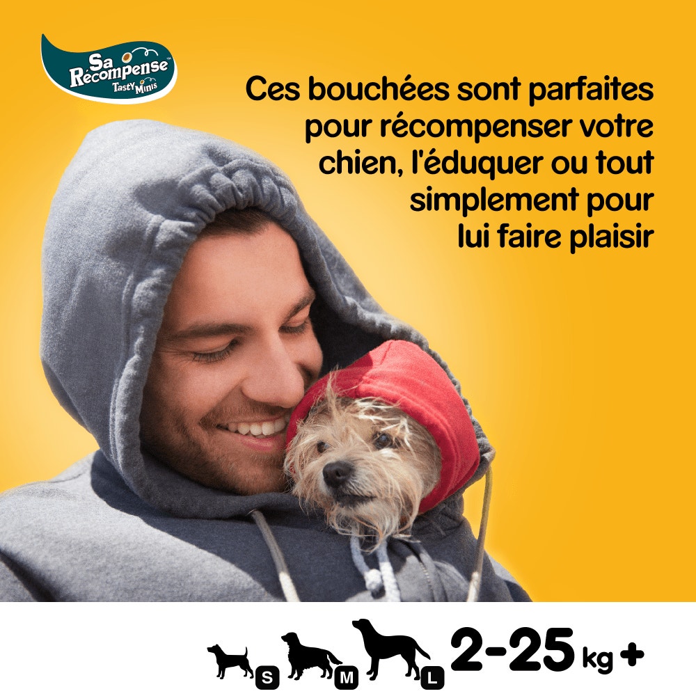 Pedigree® SA RÉCOMPENSE™ Mini Bouchées Au Bœuf Et Fromage Pour Chien 140g