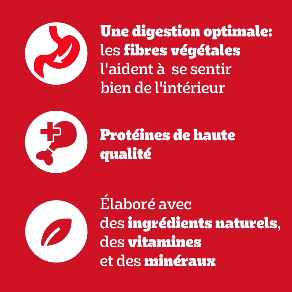 Pedigree® Sachets Fraîcheur En Sauce 4 Variétés Pour Chien 12 x 100g & 24 x 100g