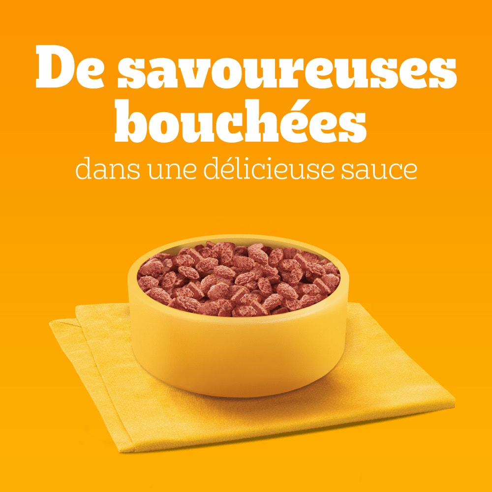 Pedigree® Sachets Fraîcheur En Sauce 4 Variétés Pour Chien 12 x 100g & 24 x 100g