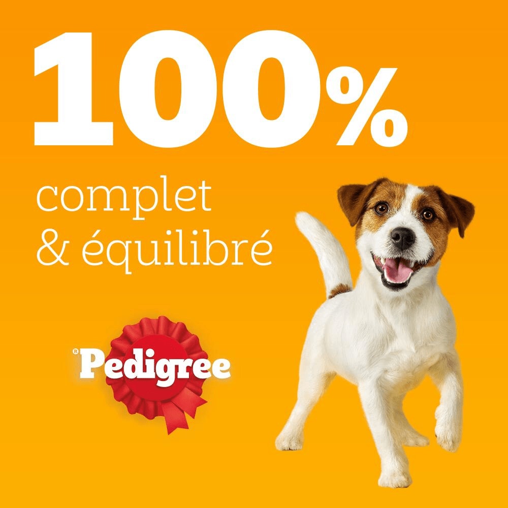 Pedigree® Sachets Fraîcheur En Gelée 4 Variétés Pour Chien 12 x 100g