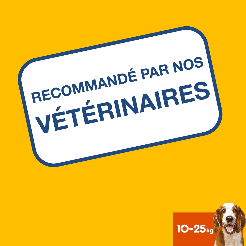 Pedigree® DENTASTIX™ Bâtonnets Hygiène Bucco-Dentaire Pour Moyen Chien 7 x 25,7g, 28 x 25,7g & 56 x 25,7g
