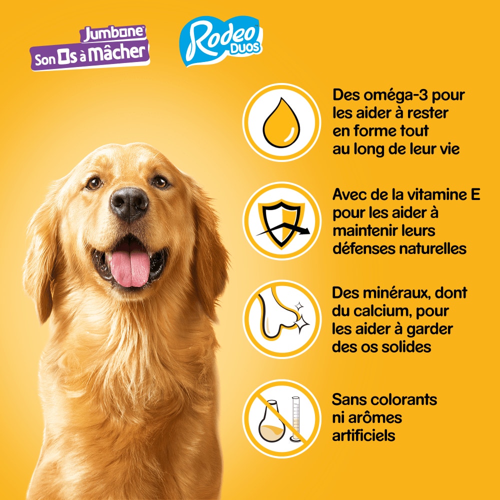 Pedigree® Mega Box Mix Récompenses RODEO™ DUO Et JUMBONE™ Pour Chien 780g